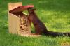 Photo for Global Animal Feed Additives Market to reach a valuation of US$5.9 bn by 2021