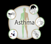 Photo for Allergy Asthma Sinusitis Medical Clinic Inc.