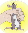 Photo for Frankie's Pest Control