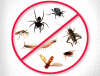 Photo for Pest control orilla