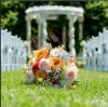 Photo for Beach Wedding Photography