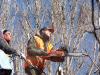 Photo for Tree Service Pros VA Beach