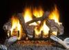 Photo for Gas log fireplace insert