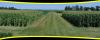 Photo for DurraniFarms limited