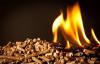 Photo for Global Biomass Pellets Market will Grasp USD 8.34 Billion in 2020