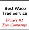 Photo for Best Waco Tree Service
