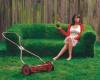 Photo for Grass Sod
