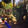 Photo for Things to do in Marrackech, Gueliz, Shop, Art and Eat