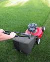 Photo for Grass cutting companies