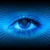 Photo for Hawkeye Investigations