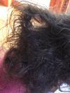 Photo for Detangle Hair Specialist