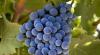 Photo for Atlas Adventures & Wine Tours
