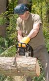 Photo for Stonaker Tree Service