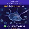 Photo for Treatments For In Vitro Fertilization In India