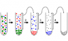 Photo for Cell Fractionation Market-Global Industry Trends And Forecast By 2024