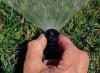 Photo for Sprinkler System Repair Services