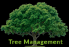 Photo for Deerfield Beach Southern Services