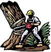 Photo for Parkland Southern Tree Services