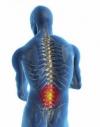 Photo for Anaheim Chiropractor