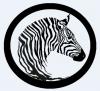 Photo for Cloudy Zebra SEO