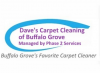 Photo for Dave's Carpet Cleaning of Buffalo Grove