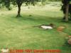 Photo for Septic inspection services