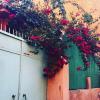 Photo for Top 5 Marrakech Tours, Best Day Trips