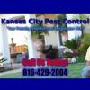 Photo for Kansas City Pest Control