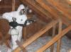 Photo for Attic cleaning services
