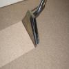 Photo for Cape Girardeau Carpet Cleaning