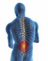 Photo for Elkhart Chiropractors