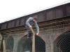 Photo for Barbwire fence services