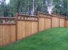 Photo for Certified Arborists