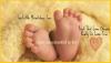 Photo for In Vitro Fertilization (IVF)