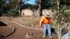 Photo for IBOA LANDSCAPING, GARDENING AND TREE SERVICE