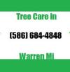 Photo for Tree Care in Warren Mi