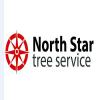 Photo for North Star Tree Service