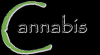 Photo for accounting for marijuana dispensaries