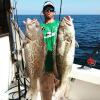 Photo for Drop Down Sport Fish Charters