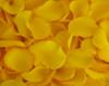 Photo for Wholesale Rose Petals
