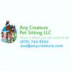 Photo for Any Creature Pet Sitting
