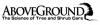 Photo for Above Ground Tree & Landscape