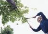 Photo for Scranton Tree Service