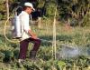 Photo for Strategic Role of Food Security Drives Adoption of Food Security Technologies, Market to Find Opportunities in APAC