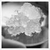 Photo for Global Nanocellulose Market Is Anticipated To Hit USD 530.0 Million by 2020