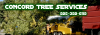 Photo for Concord Tree Services