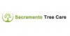 Photo for Sacramento Tree Care