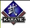 Photo for Mid-America Karate - Bartlesville