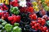 Photo for Global Antioxidants Market Will Grow To USD 3.25 Billion by 2020