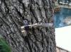 Photo for Mosquito Misting Systems